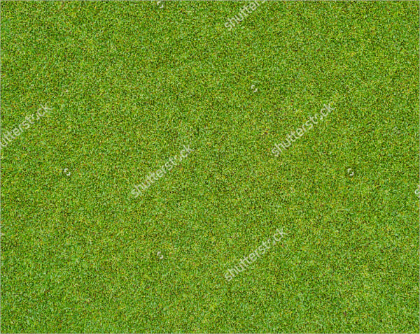 beautiful-green-grass-pattern-from-golf-course