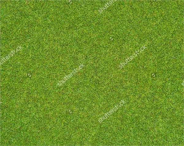 18+ Grass Patterns - Free PSD, AI, Vector, EPS Format Download | Free ...