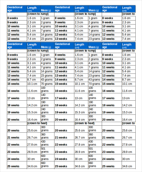 Pregnancy Growth Week By Week Chart