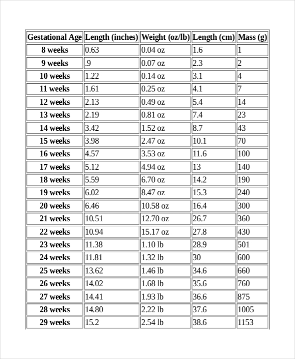 fetal weight chart by week in kg