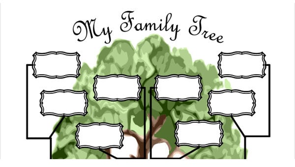 family tree outline image