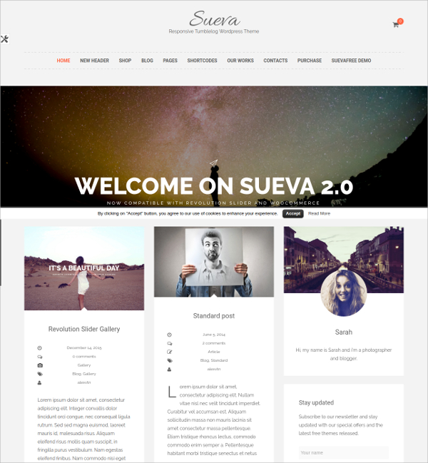 perfect-design-personal-website-theme