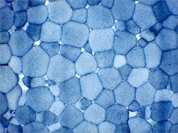 spa blue pebble texture