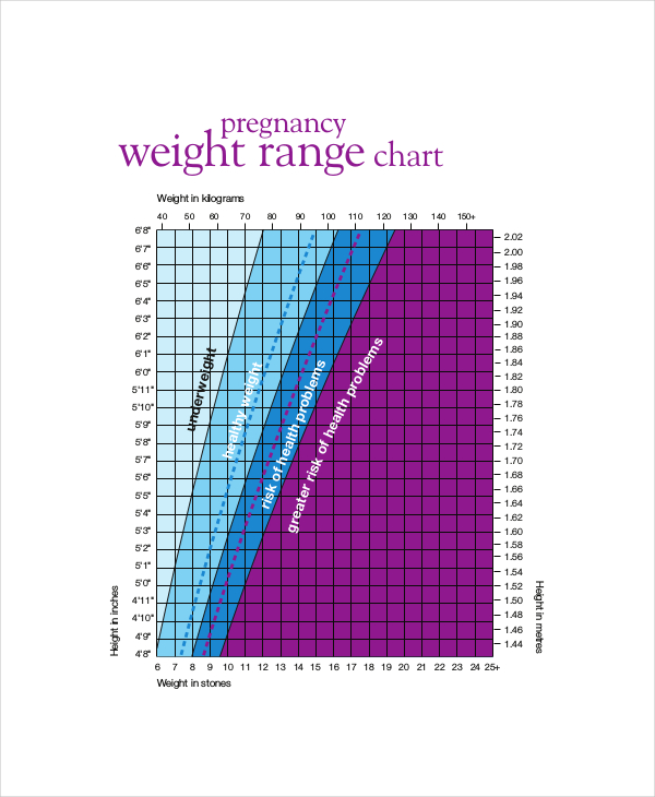 Baby Weight Growth Chart Template - 5+ Free PDF Documents Download