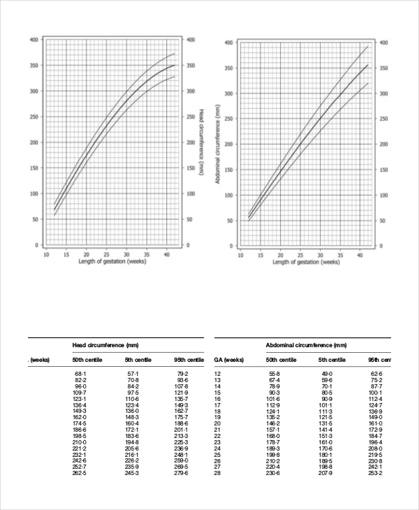 7+ Unborn Baby Growth Chart Templates Free Sample, Example, Format