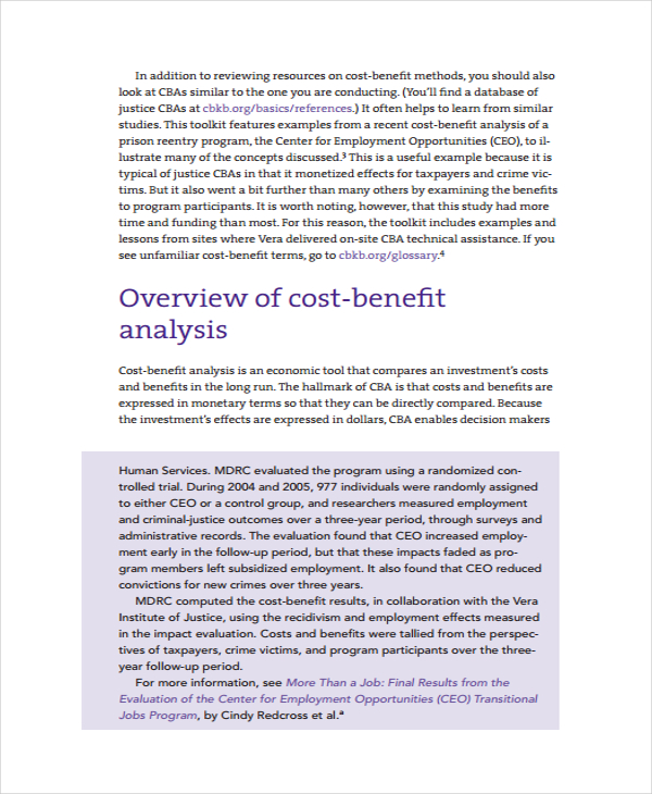 9+ Cost Benefit Analysis Templates - Word, PDF