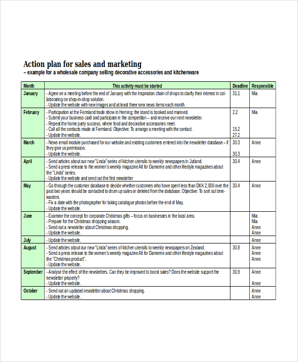 Sales Action Plan Template Word 4229