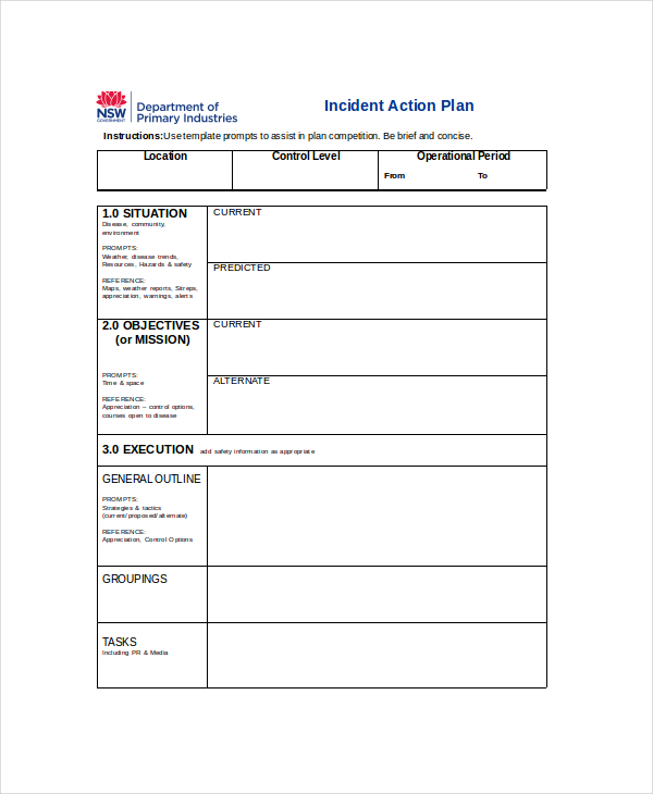 Action Plan Template - 24+ Free Word, PDF Document Downloads