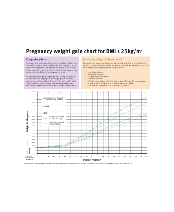 4+ Sample Baby Weight Charts During Pregnancy - Free Sample, Example 