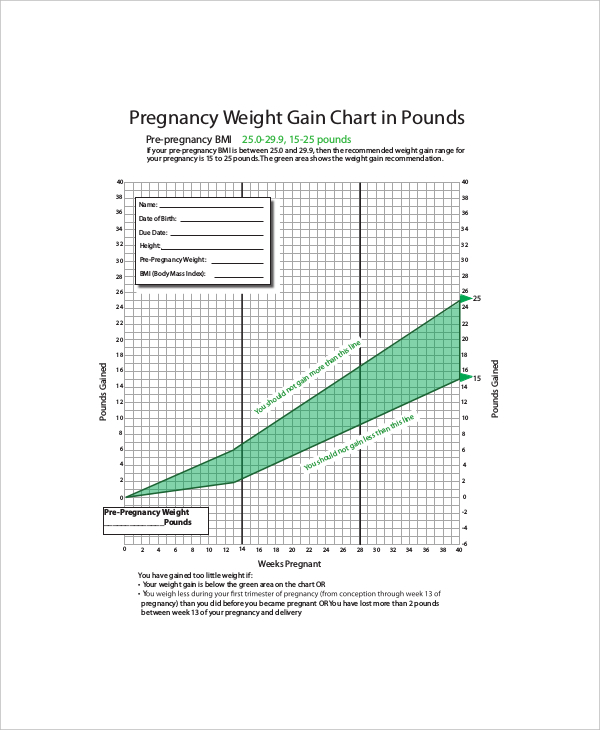 Baby Weight Gain During Pregnancy Kids Matttroy