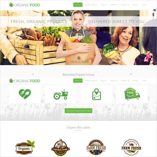 organic food wordpress theme