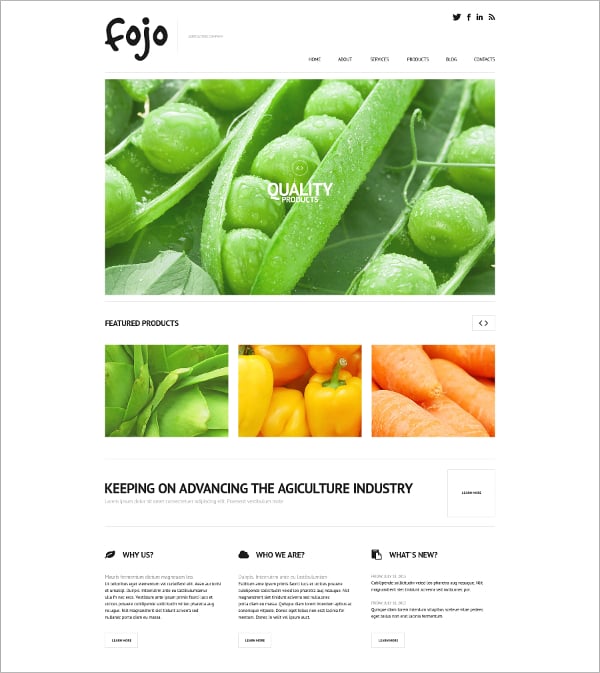 responsive organic business wordpress theme