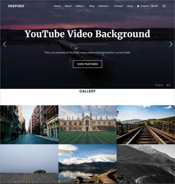 professional photography website theme
