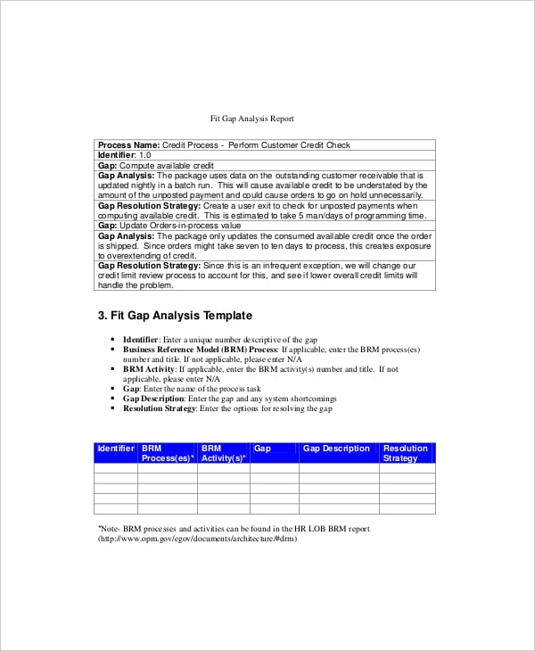fit gap analysis report example