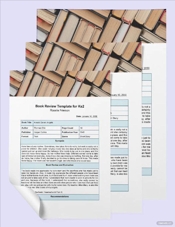 book review template ks3 pdf