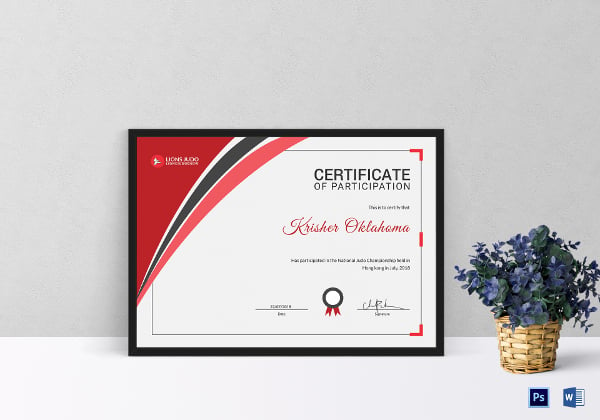certificate of judo participation