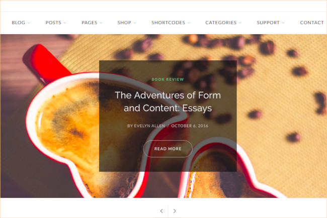 elegant blog blogging wordpress theme