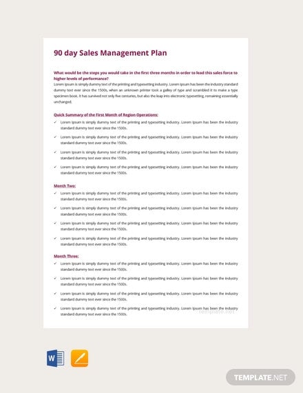 free 90 days sales management plan template