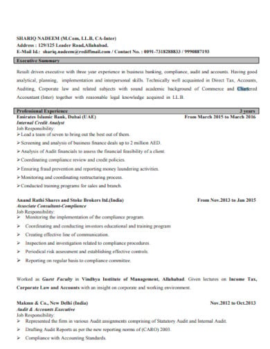 internal-audit-chartered-accountant-resume