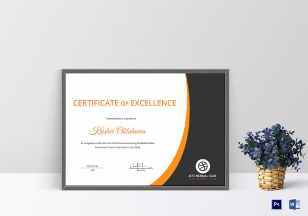 netball excellence certificate template