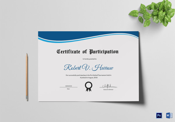 netball participation certificate design