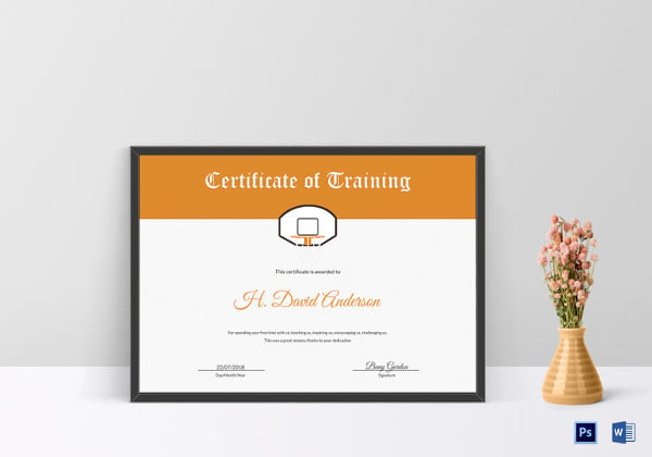 netball training certificate template
