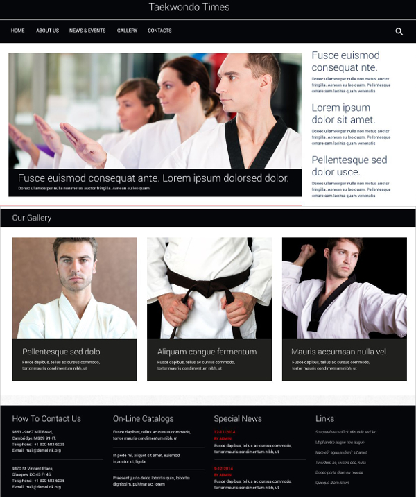 black belt martial arts wordpress theme