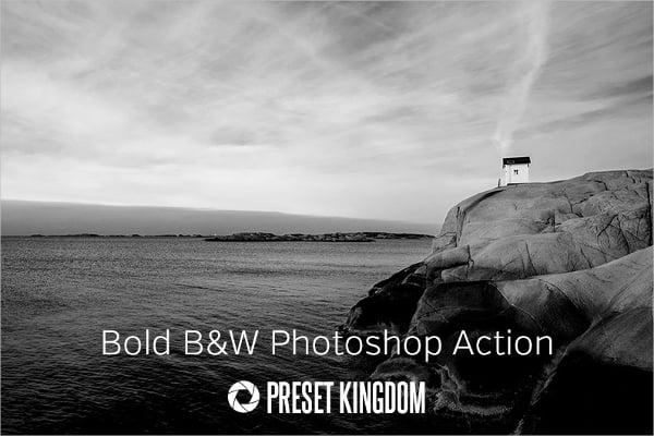 free bold black white photoshop action