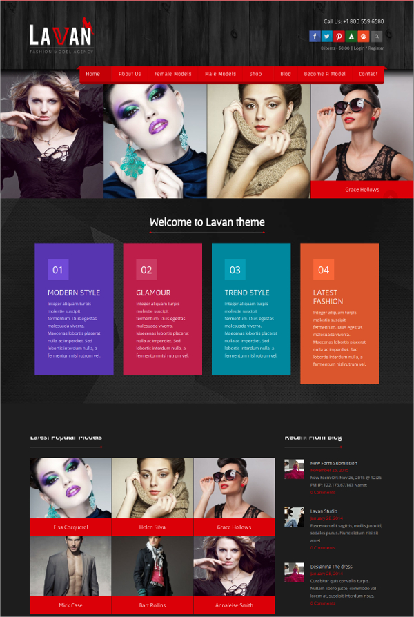 15+ Modeling Agency WordPress Themes & Templates