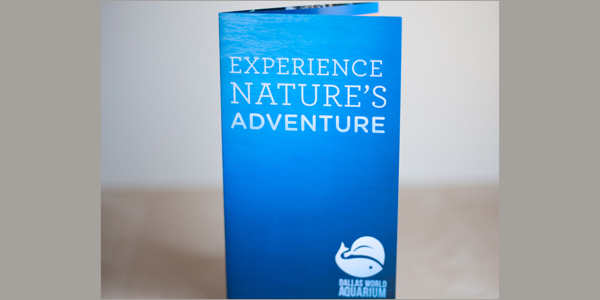 world aquarium brochure template