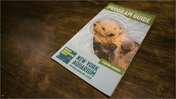 aquarium education program brochure