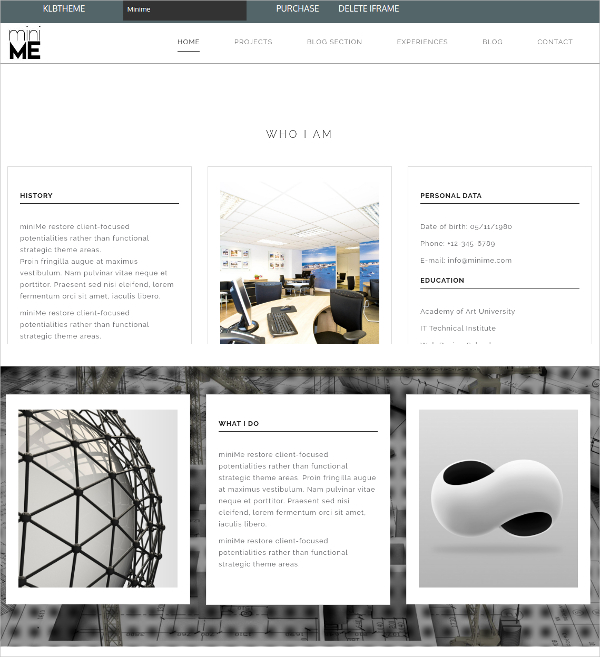 8+ AngularJS WordPress Themes & Templates