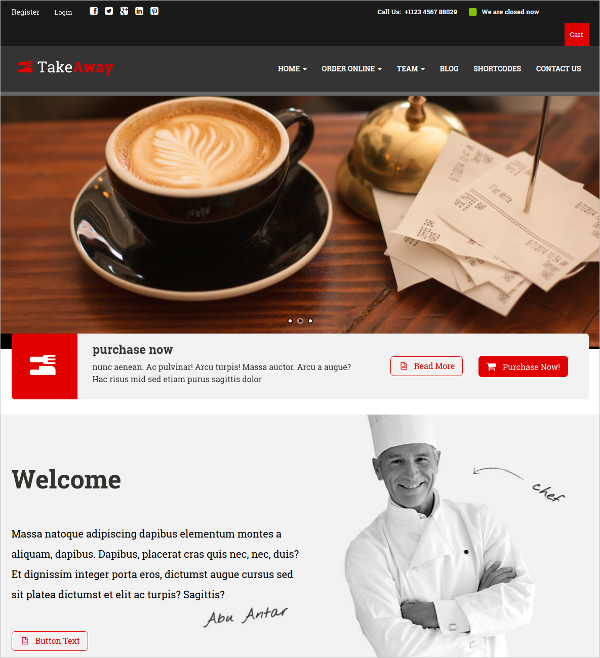8+ AngularJS WordPress Themes & Templates