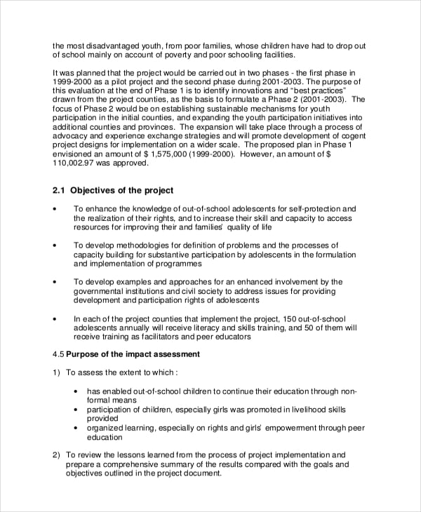 project impact assessment template