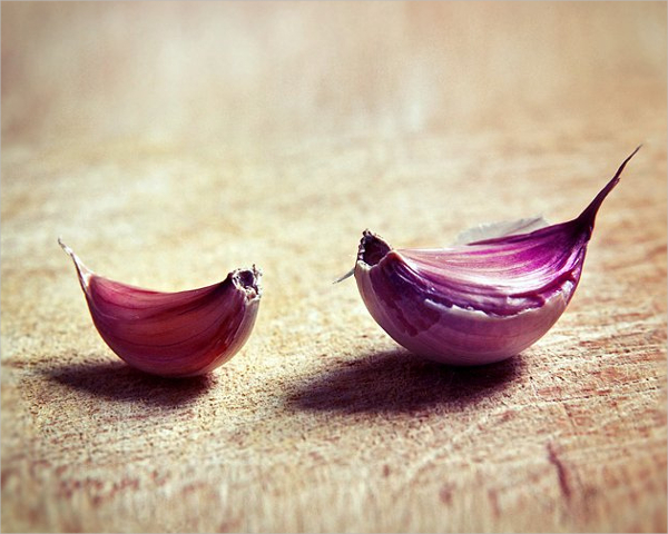 kitchen still life photography