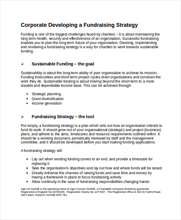 Fundraising Strategy Template 6 Free Word PDF Document Downloads