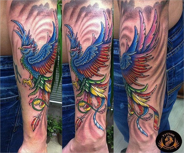 gorgeous phoenix tattoo design