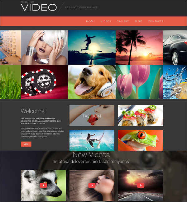 online video blog wordpress theme