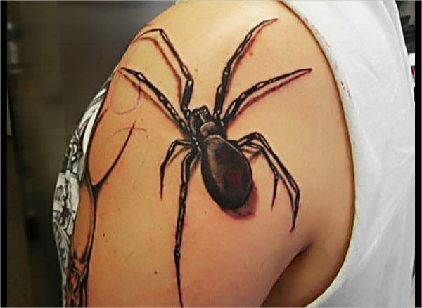spider 3d tattoos design