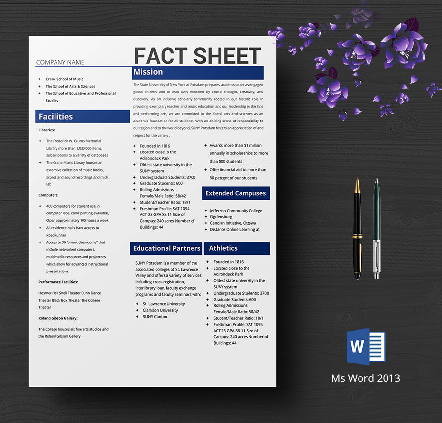 Medical Fact Sheet Template Word