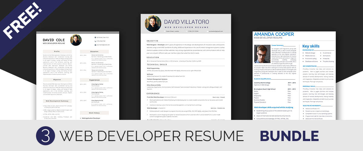 developer resume templates