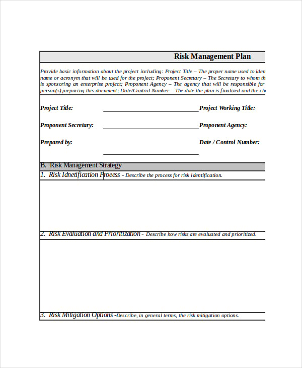 project risk management plan template