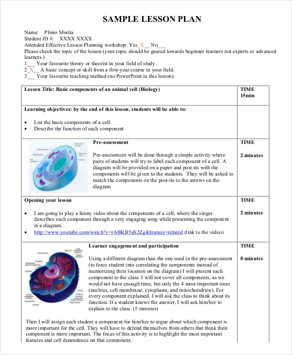 sample microteaching lesson plan
