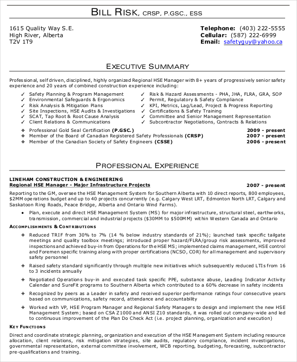 9 Executive Summary Examples In Word PDF Google Docs Pages