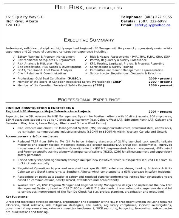 what is executive summary on a resume