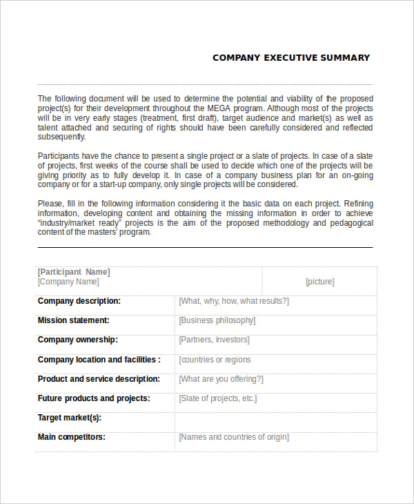 company executive summary example