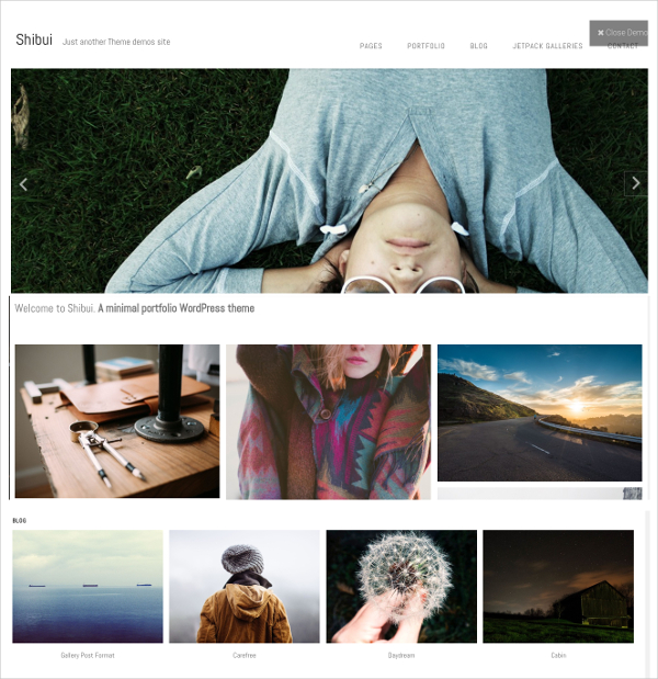 21+ Photo Gallery WordPress Themes & Templates