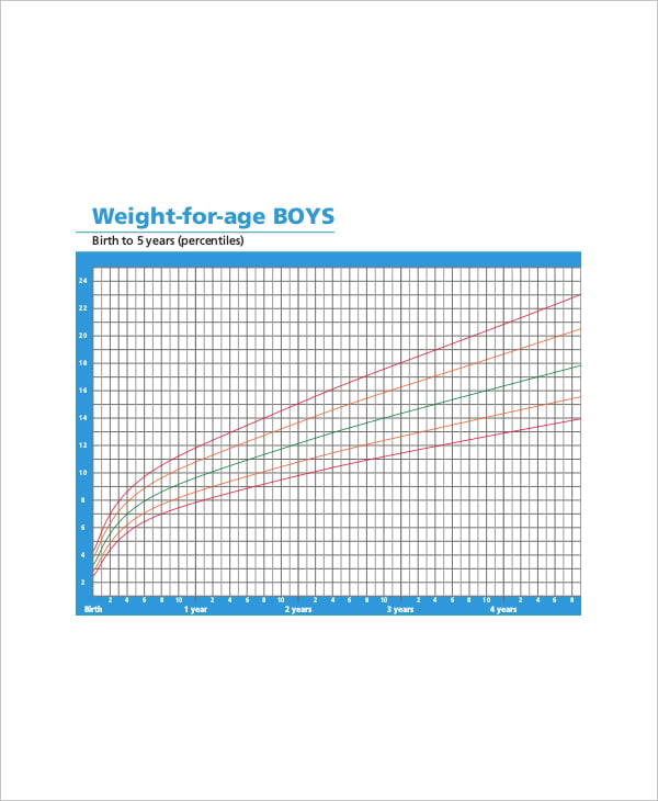 5+ Baby Height Weight Chart Templates for Baby - Free ...