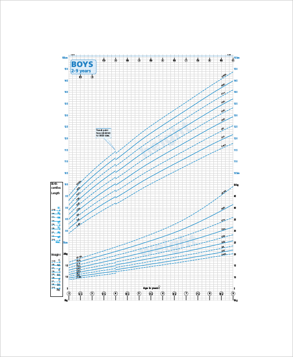 5+ Sample Toddler Height Weight Chart Templates Free Sample, Example