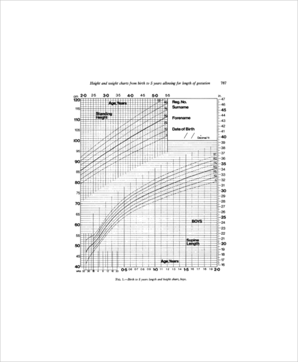 6+ Pediatric Height Weight Chart Templates Free Sample, Example, Format